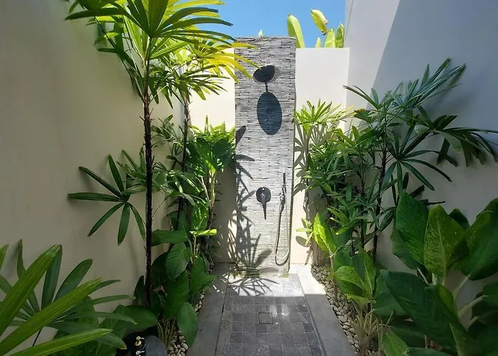 Villa Echo And Canggu